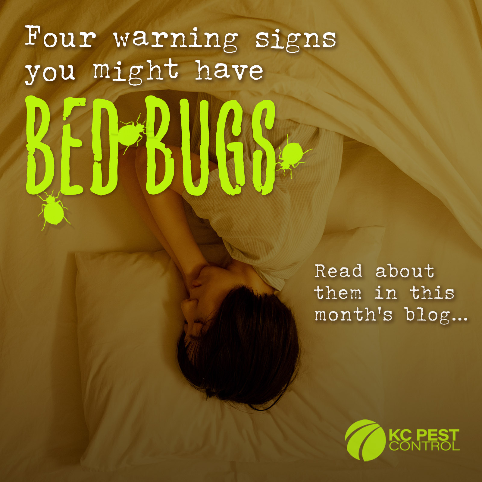 4 Early Signs Of Bed Bugs - KC Pest Control